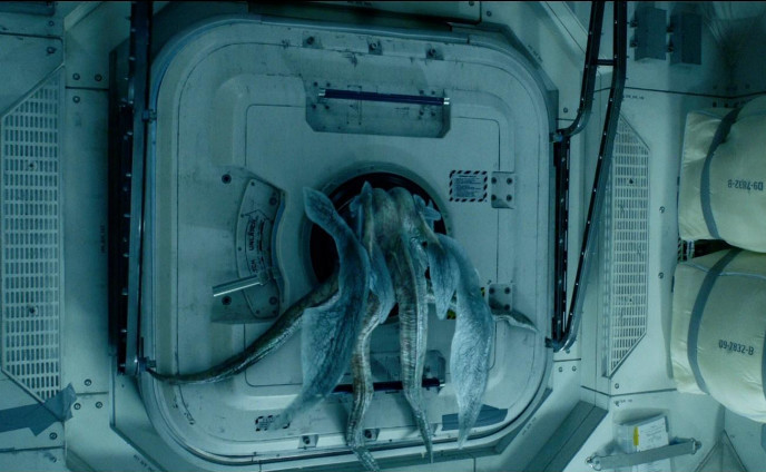 《异星觉醒》:小生物竟能有这么高的智商,这部科幻片值得一看!