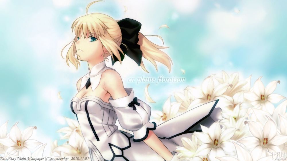 《fate》:呆毛王saber是一位合格称职的王么?