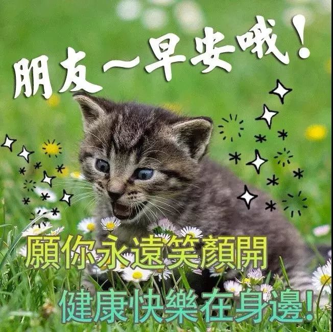亲,早上好!最温暖的祝福送给你