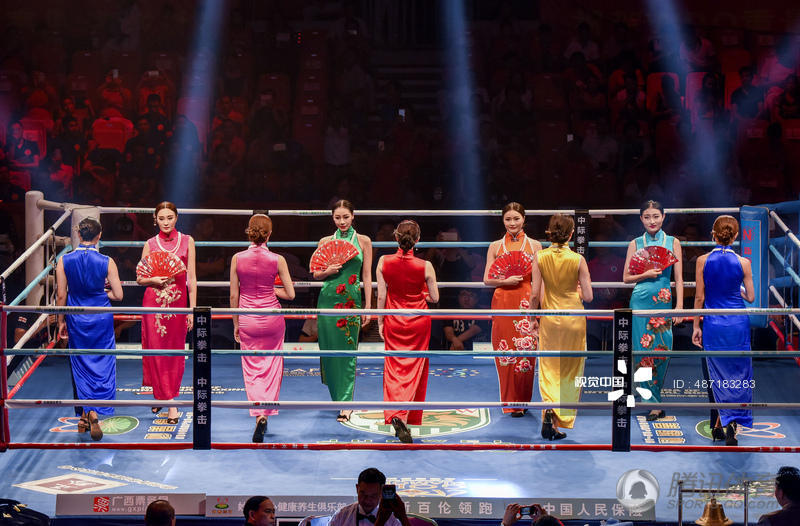 拳击赛中国举牌女郎穿旗袍PK洋妞