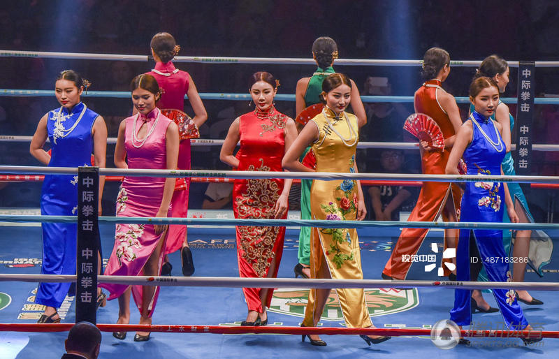 拳击赛中国举牌女郎穿旗袍PK洋妞