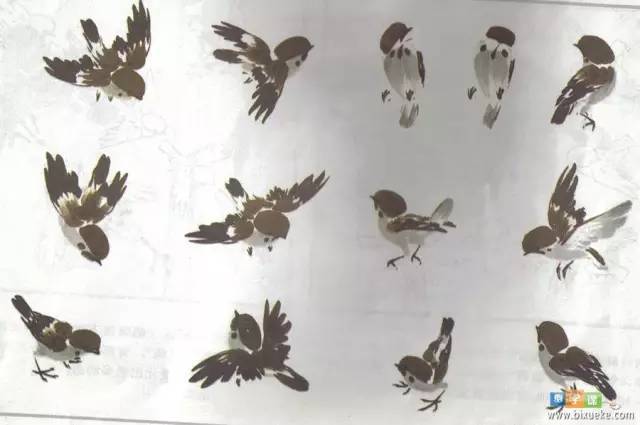 写意麻雀的几种画法,一学就会!