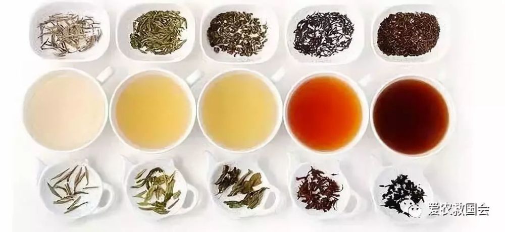茶叶的分类及其发展 看点快报