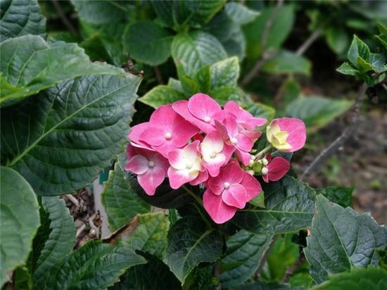 HTC U12+旗舰测评:继承U11+边框触控技术,拍