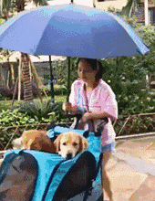 170_220gif 动态图 动图