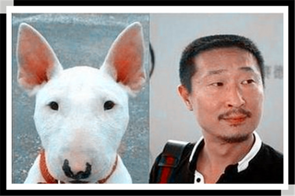 孙红雷狗牛头梗到底撞脸多少大腕，最后一个帅到我-天天快报