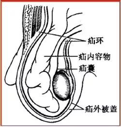 "气蛋和水蛋"的秘密