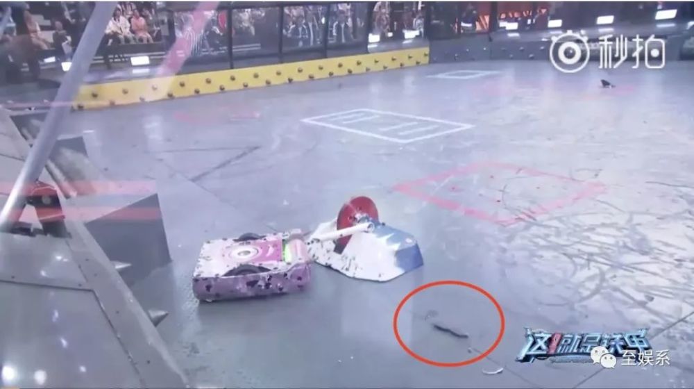 郑爽现场发飙怒怼节目组!但这一次我想为她的