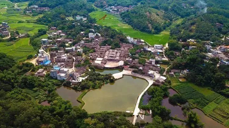 客家人,璋嘉,合浦县,曲樟乡,陈氏宗祠,李宇平