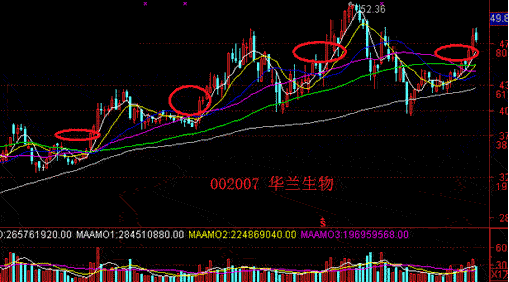 一旦出现这种“出水芙蓉“形态，立即买入，抓起涨点