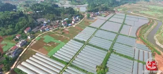 东兴区 各镇人口_内江市东兴区城区地图(2)