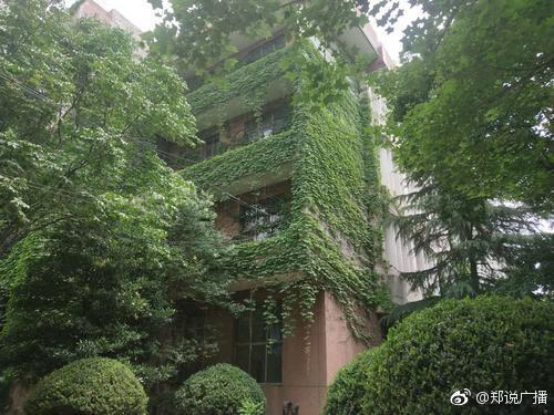 河南一高校图书馆外长满爬墙虎 室内比室外低
