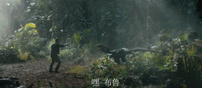 潜入庄园的地下层,她还看到了欧文饲养布鲁的视频.