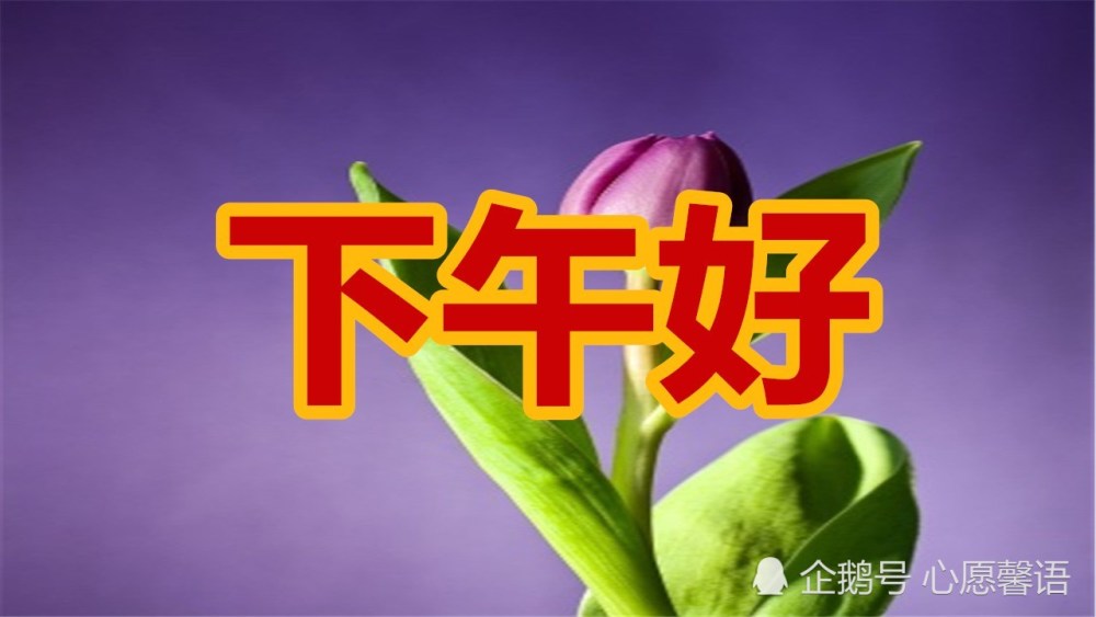 下午好!祝福送给每一位好朋友,愿好心情伴随一整天!