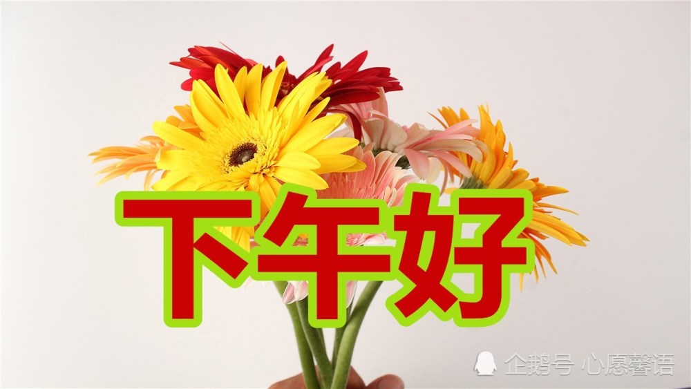 下午好!祝福送给每一位好朋友,愿好心情伴随一整天!