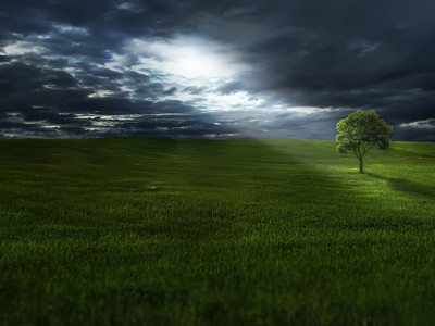 崔永元深夜道歉也没用!影视股一天市值蒸发超