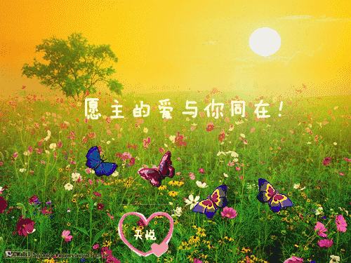 在这么一个浪漫的节日里 送一份真挚美好的问候 祝愿天下夫妻 主恩常