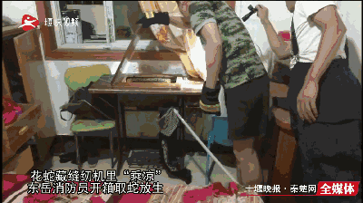 湖北一女子家中惊现一条大蛇 消防员赶到将其