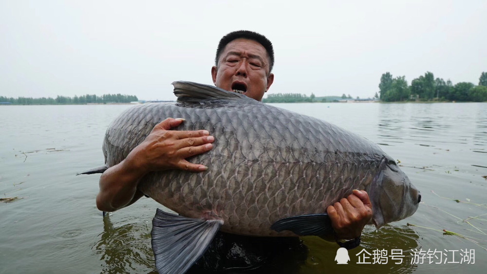 李大毛钓获这条大鱼创下的纪录,未来50年也难破,为什么?