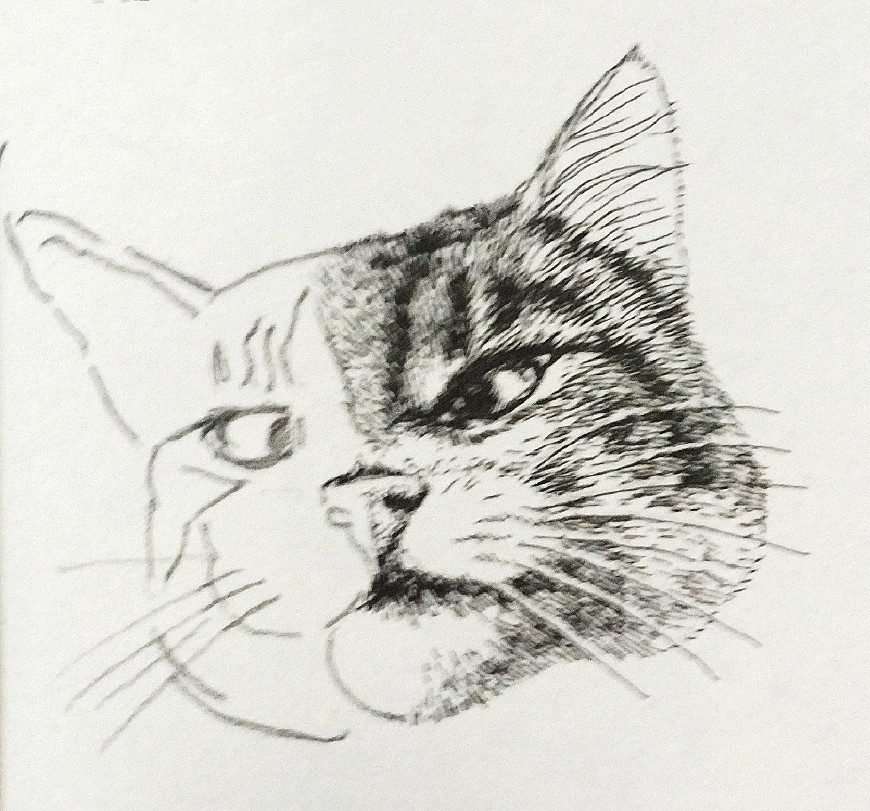 简单画猫头的方法:用几何形状构成猫咪外形