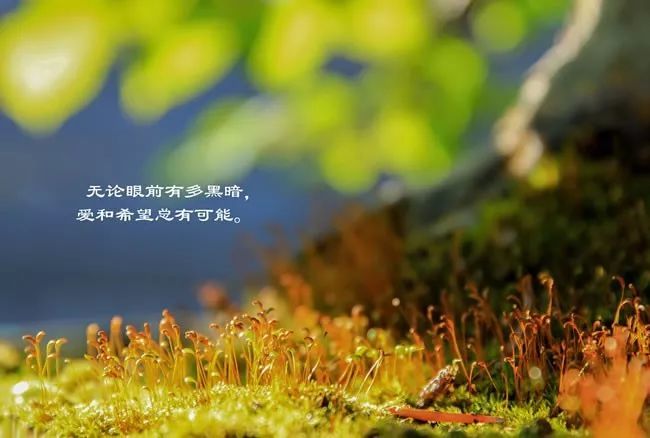 早晨心语大全 微信语录图片唯美