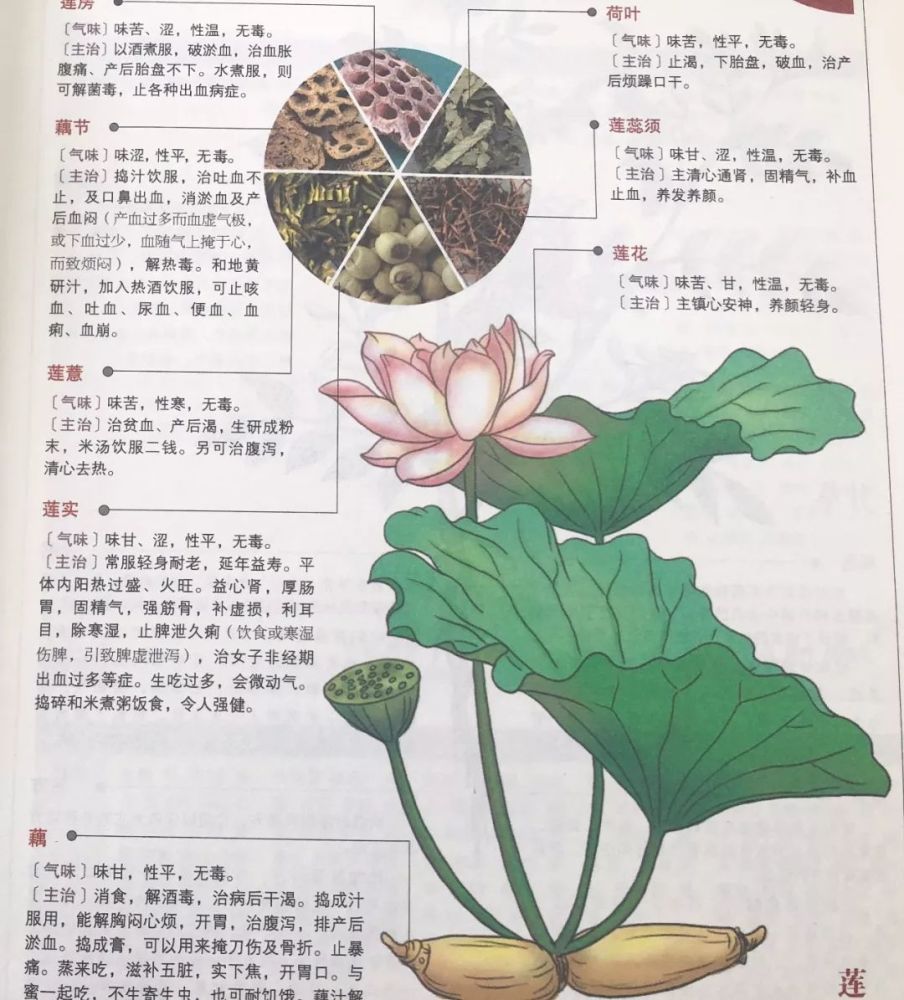 入门中医 您可以先看看这几本养生书 看点快报