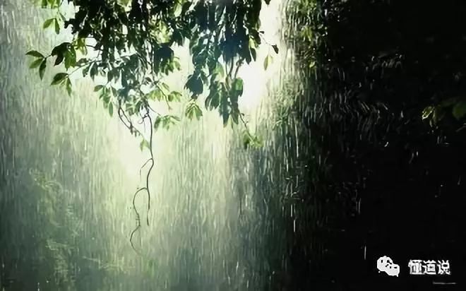 《雨的样子》 静听雨声,有一种默然的幸福感
