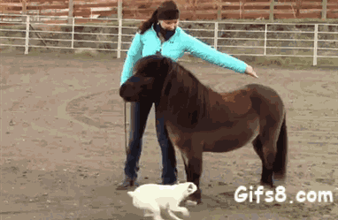 原创链接:http://www.chinajci.com/article/a1669630o.html