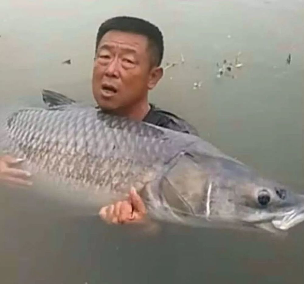 李大毛钓上的大青鱼真有150斤?