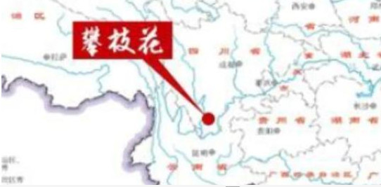 西康省gdp(2)