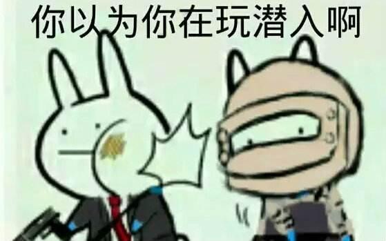 企鹅娘吐槽：你小时候的梦想是成为什么样的人呢？