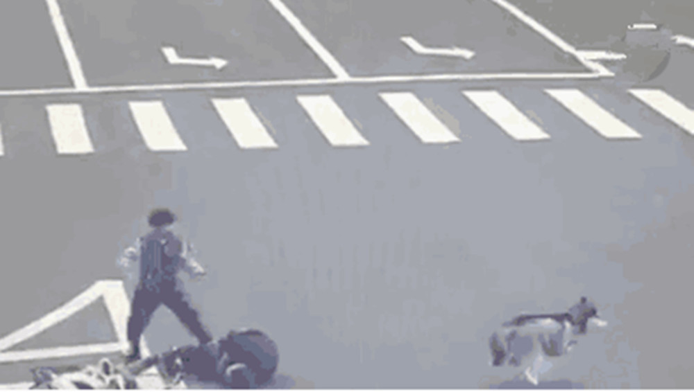 哈士奇肇事逃逸,主人有连带责任,法院判狗主