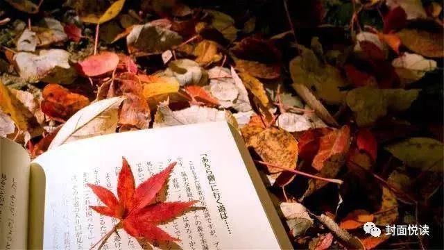 人生耐得住寂寞 生活经得住修行 看点快报
