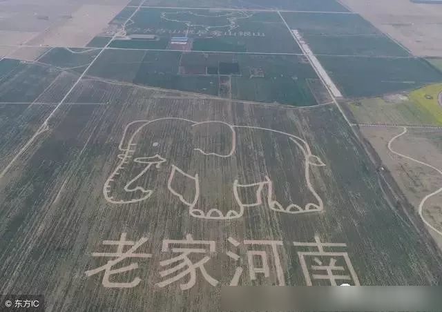 老家河南的那些方言,看看你都能够听懂多少?