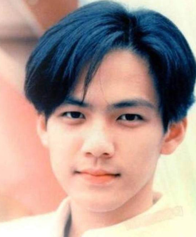 八九十年代男星有的头越来越大,有的颜值越来越高,还有的20年不变样