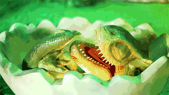 560_315 gif 动态图 动图