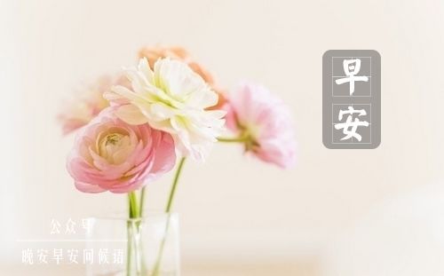 早安问候语简短一句话 温暖早安话语