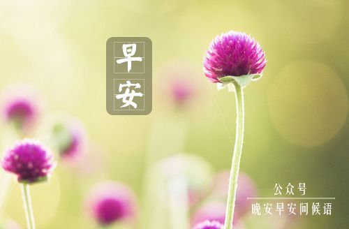 早安问候语简短一句话 温暖早安话语