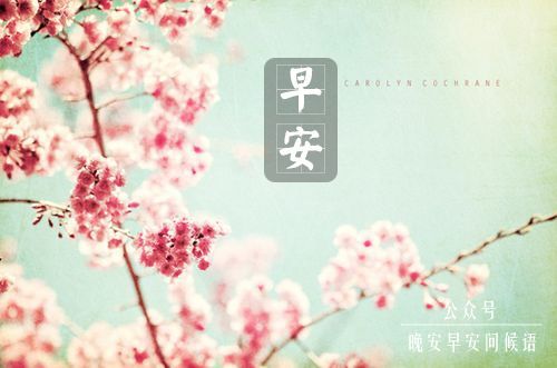 早安问候语简短一句话 温暖早安话语