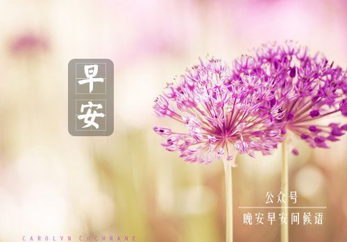 早安问候语简短一句话 温暖早安话语