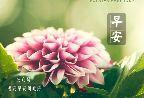 早安问候语简短一句话 温暖早安话语