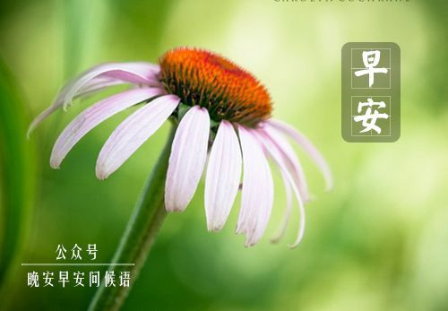 早安问候语简短一句话 温暖早安话语