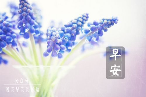 早安问候语简短一句话 温暖早安话语