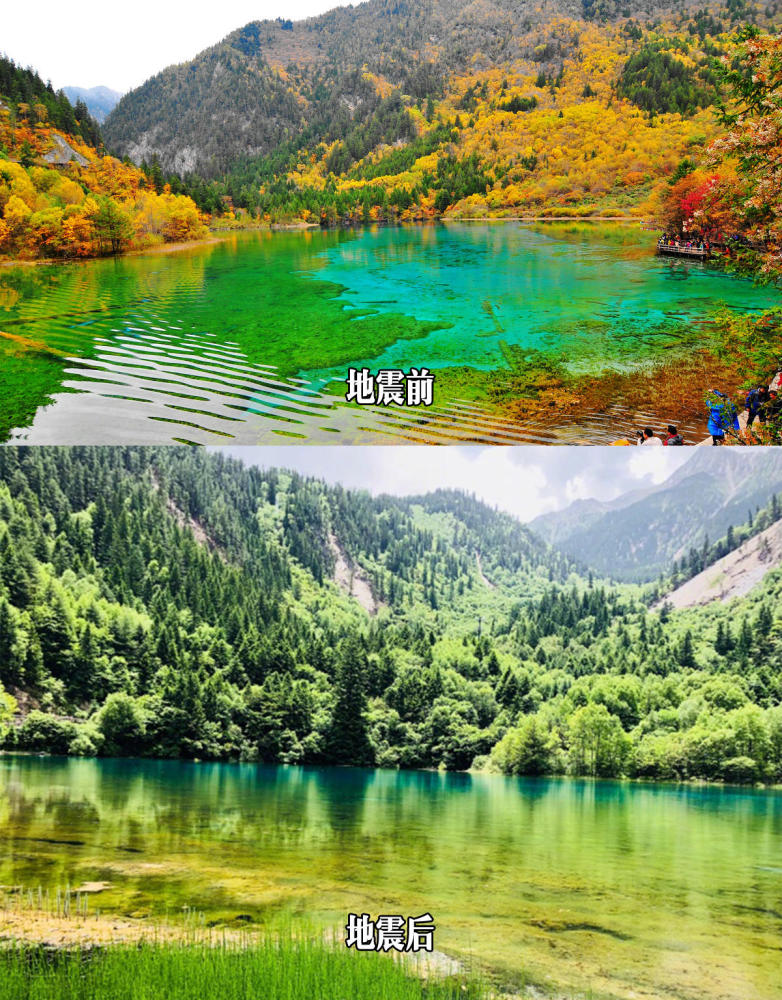 九寨沟五花海 珍珠滩首次开放地震前后大对比 看点快报