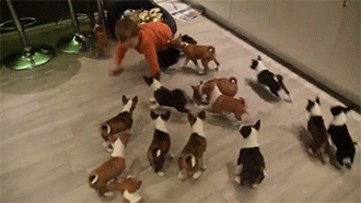 搞笑gif段子:此等大阅兵堪称威武