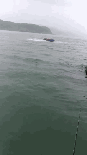 280_494 竖版 竖屏