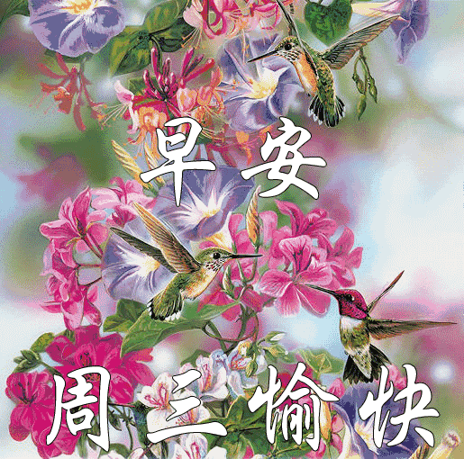 送你一条祝福信,愿你周三逢好运;送你一份好心情,愿你周三乐不停!