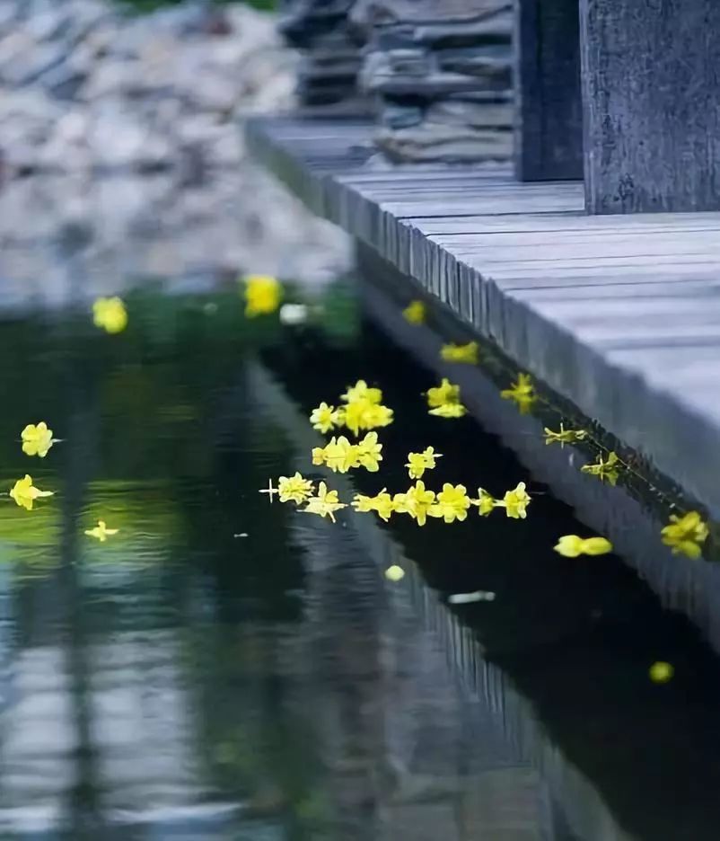 都知落花意,谁晓流水心