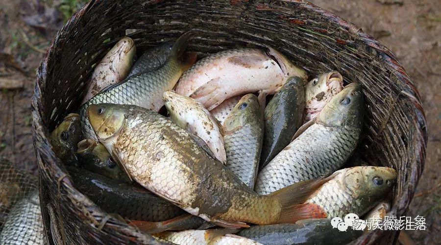 舌尖上的武夷山——