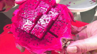 不懂这一点火龙果白